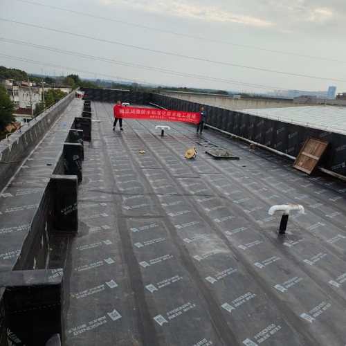 南京赋能贸易办公大楼屋面防水维修
